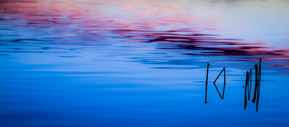 11. Platz Sieglinde Senser